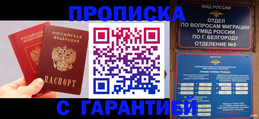 прописка 2025 в Дорогобуже